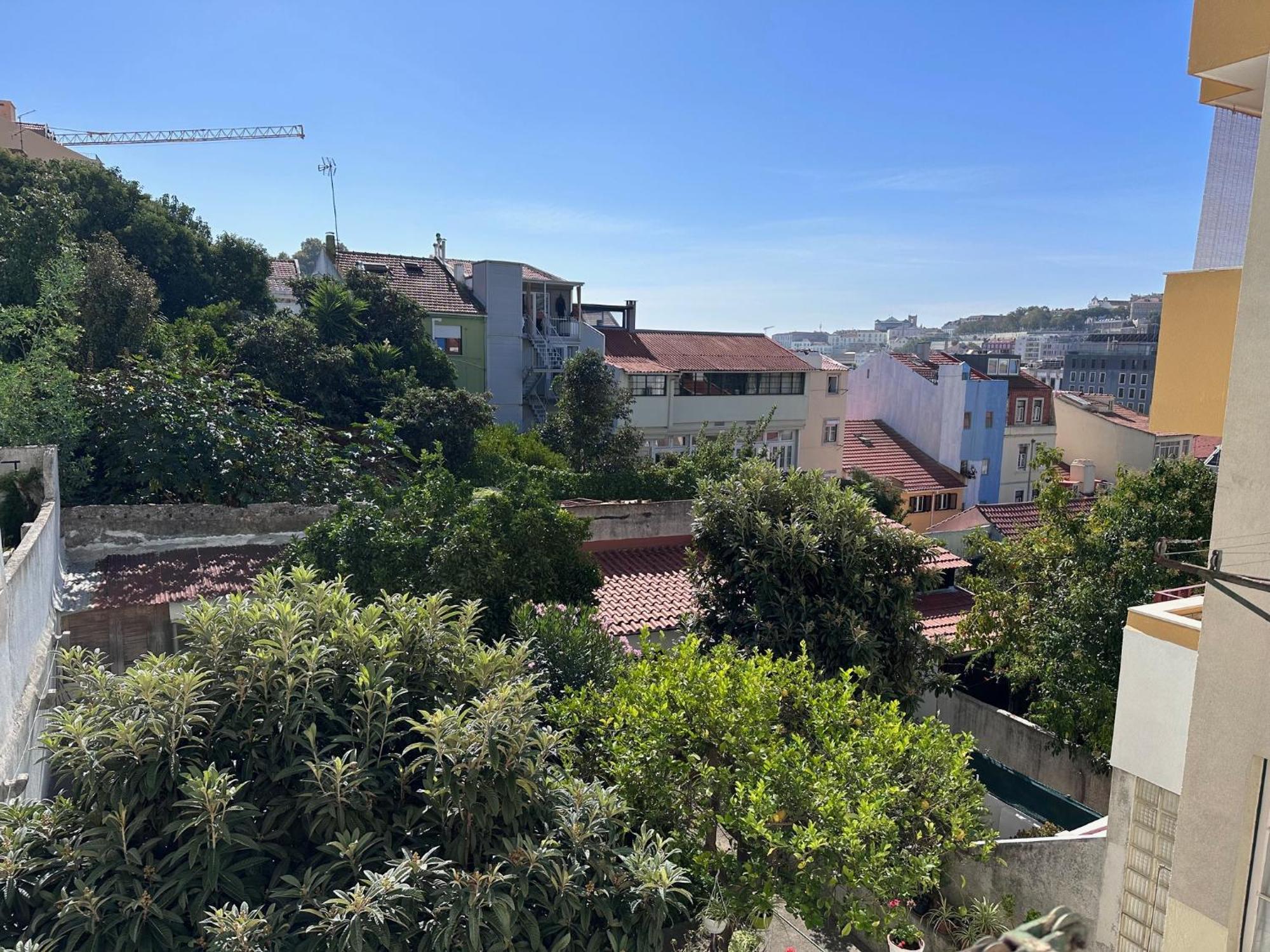 Apartment Apartamento Lisboa Lisbon